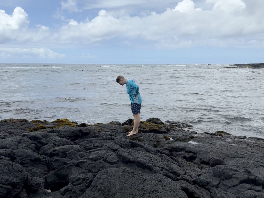 Scout investigating the rocks at Punalu'u Black Sand Beach.