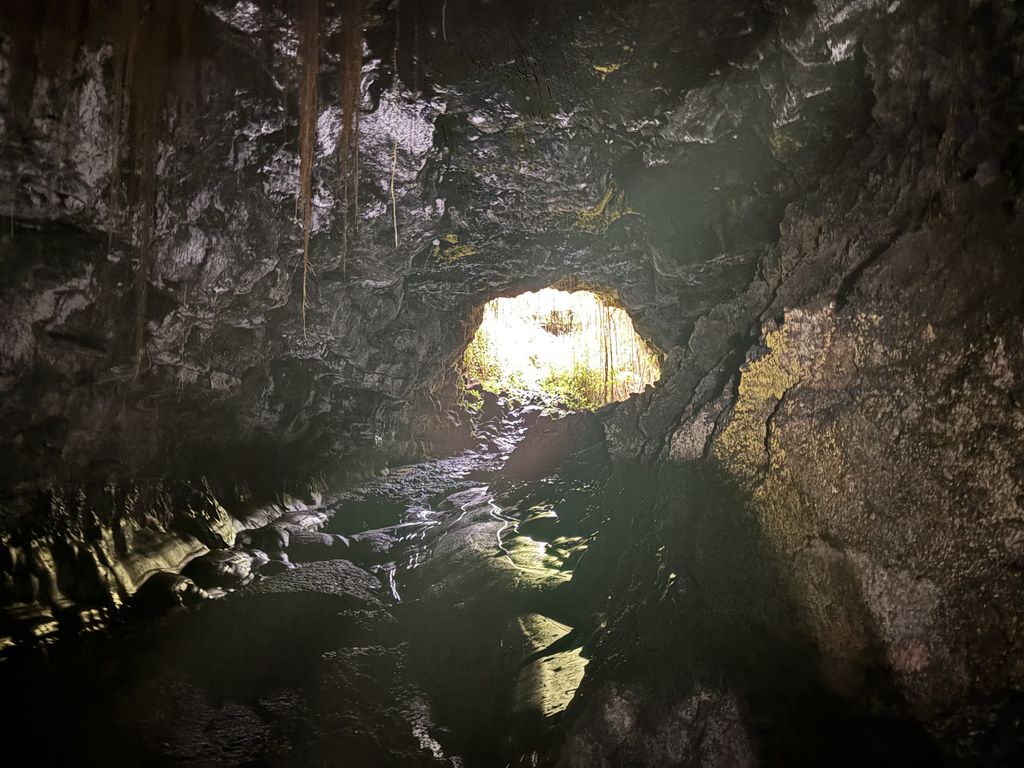 The inside got gnarly quick so we didn't venture too deep.