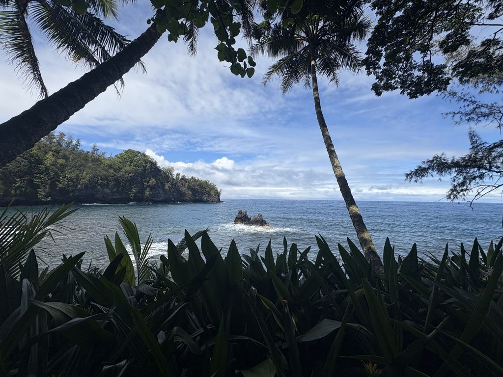An ocean cove view from a botanical gardens in Hilo.