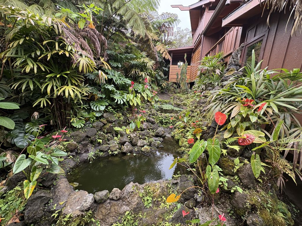 The little pond outside our front door.