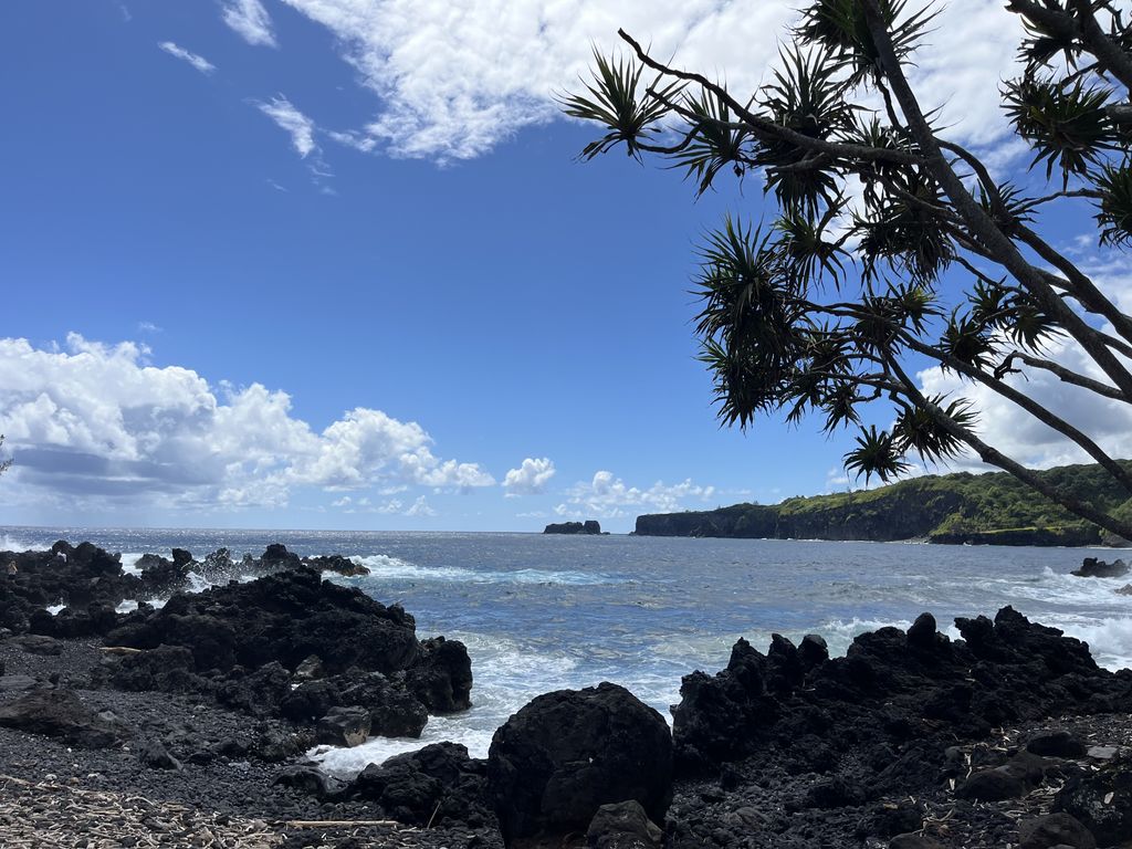 An ocean view on the Road to Hana.