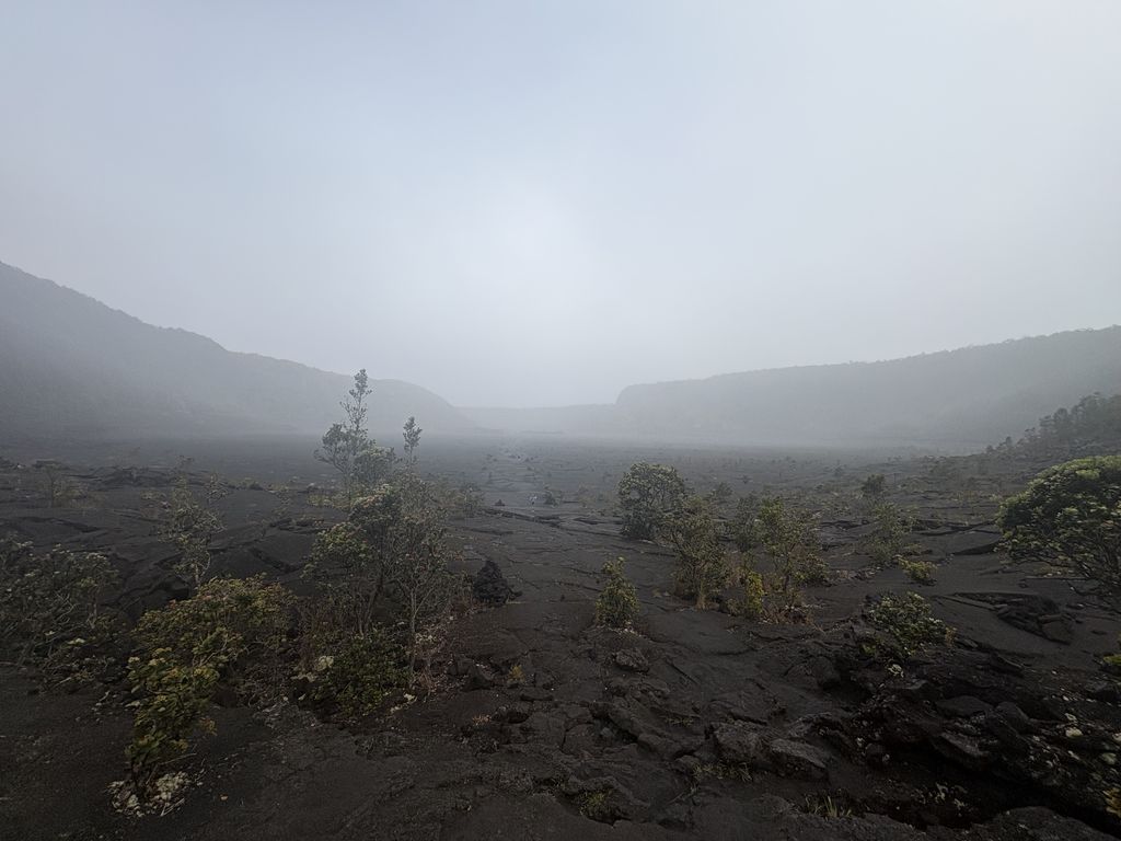 Tiny bits of life has started growing again.