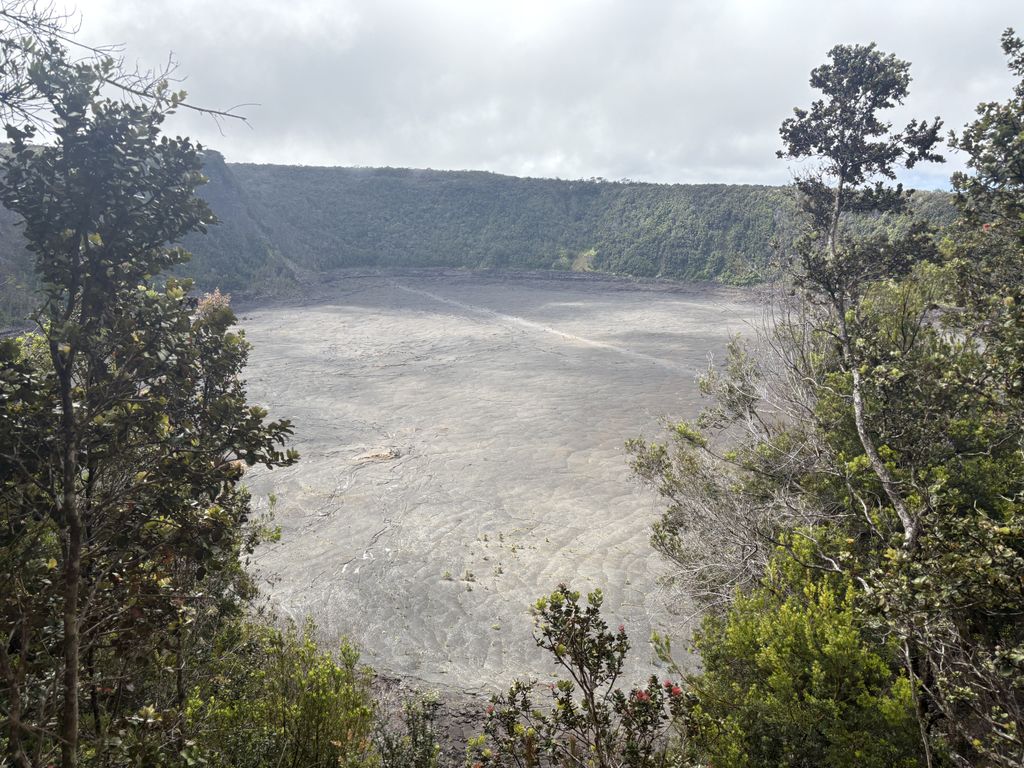 Overlook of the Kīlauea Iki crater. Notice the little faded pathway that marks the hike through.