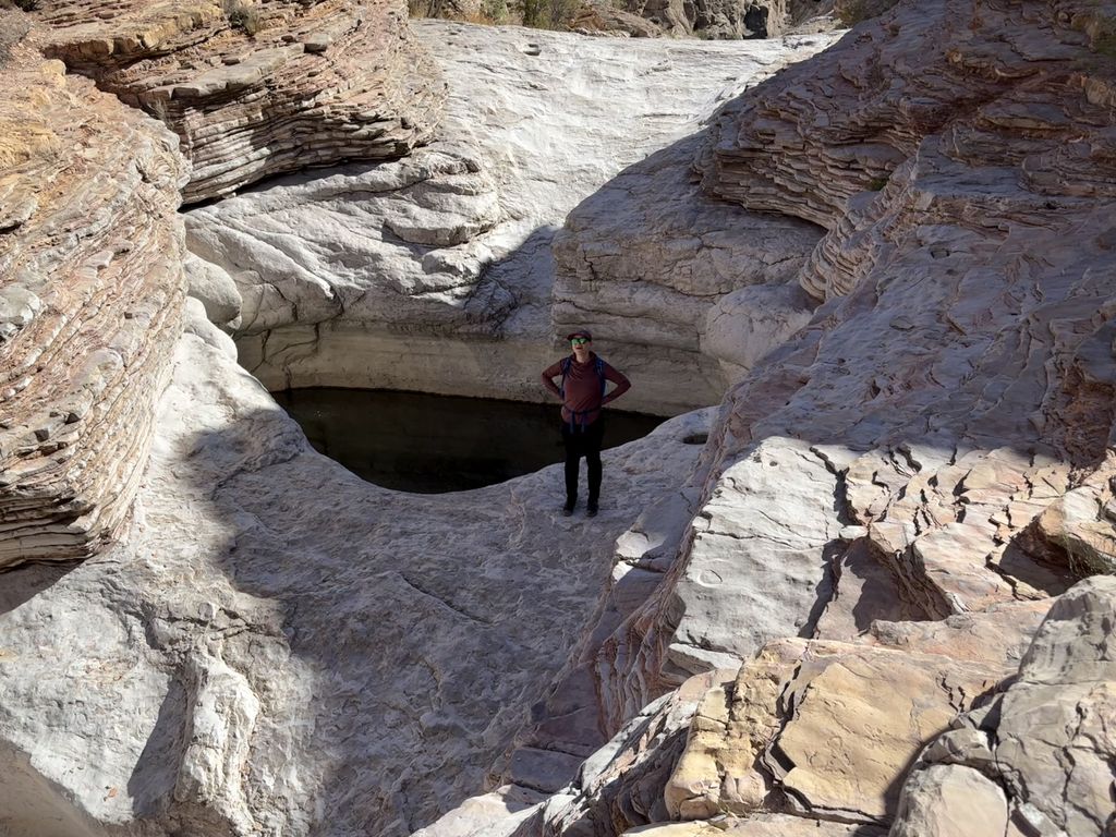 Scout in front of the bee pit.