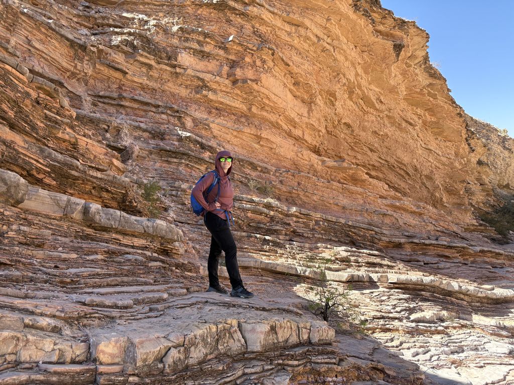 Scout posing on some rocks.