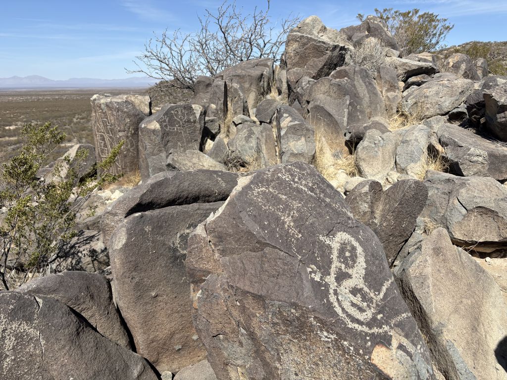A bird with a bunch of others in the background.