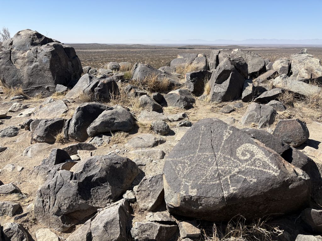 A ram with arrows in it