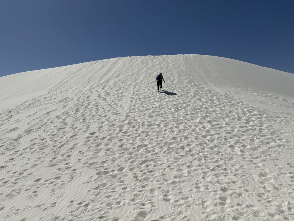 Scout conquering a large dune.