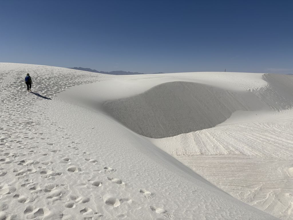 Scout walking along a dune.
